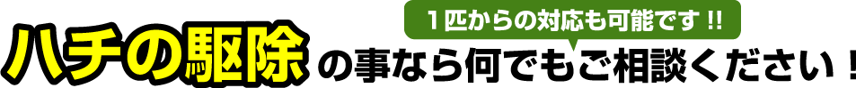 ハチの駆除のことなら何でもご相談ください